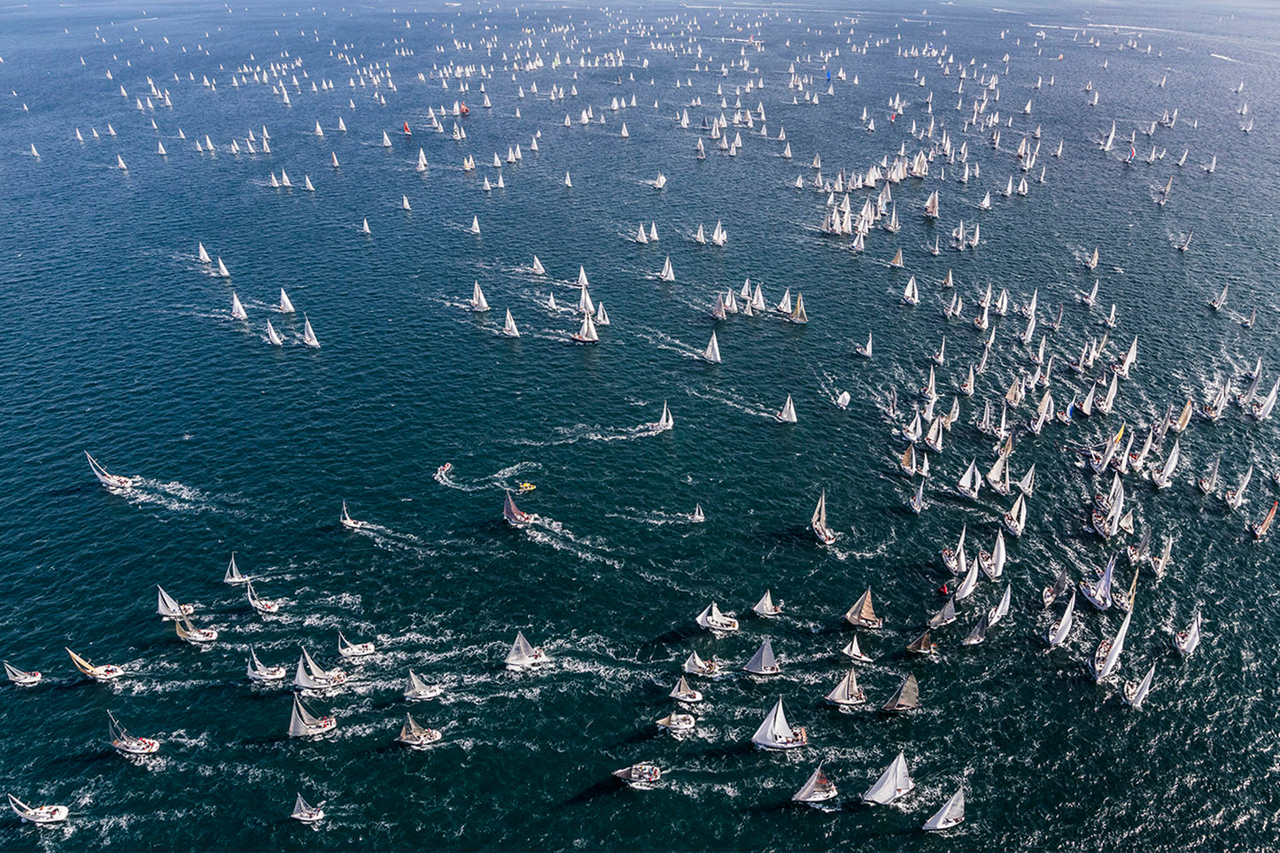 Barcolana Fleet