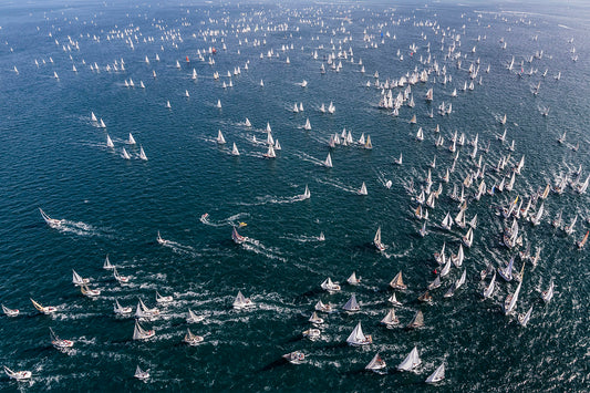 Barcolana Fleet