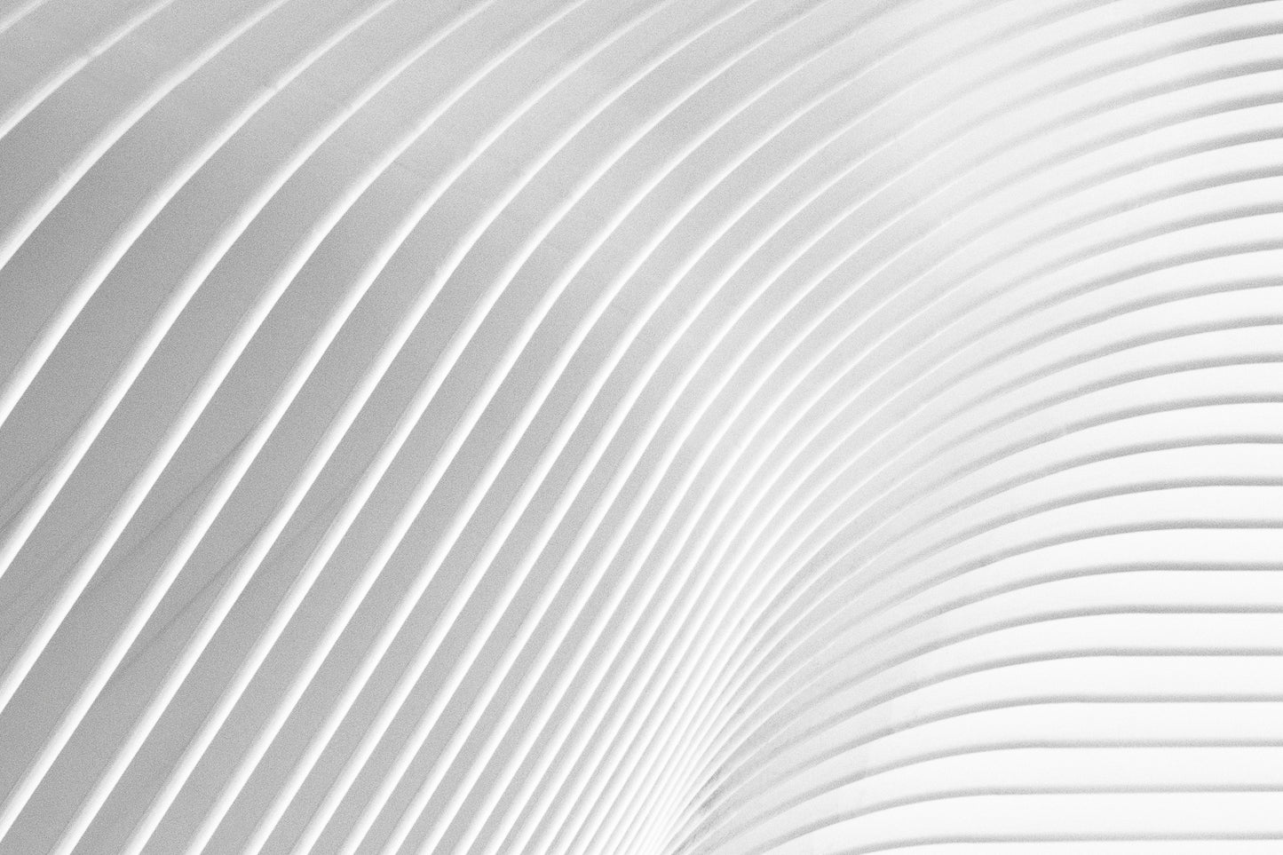 Calatrava's Oculus