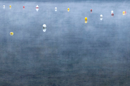 Fog