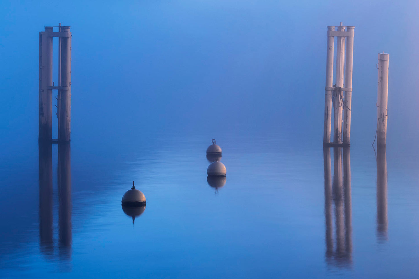 Fog on the Lake