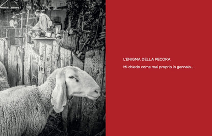 Forward to the star. The Pesa Vegia of Bellano