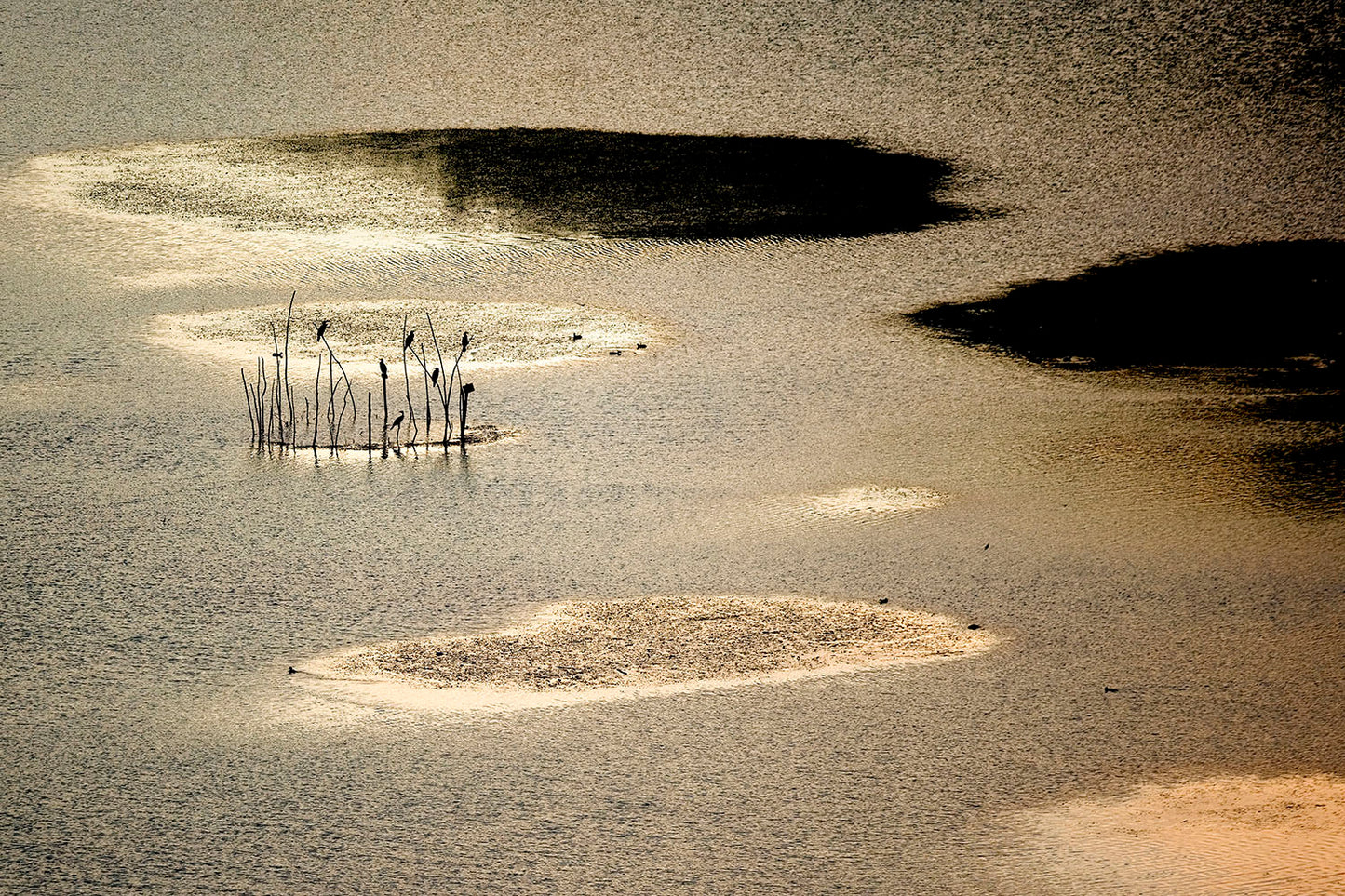 Spain's Plain