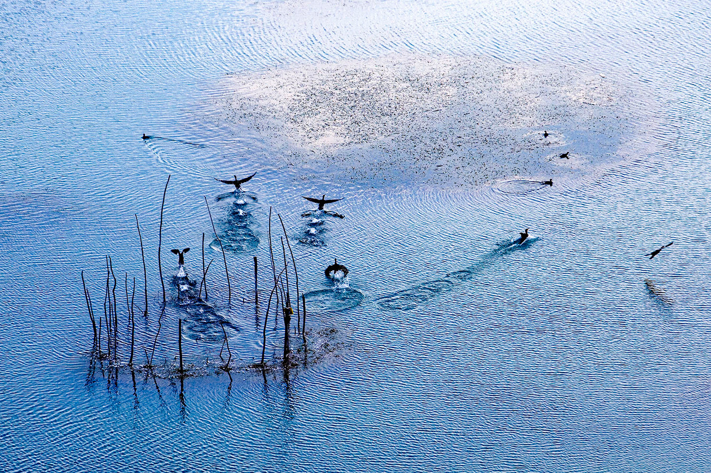Spain's Plain
