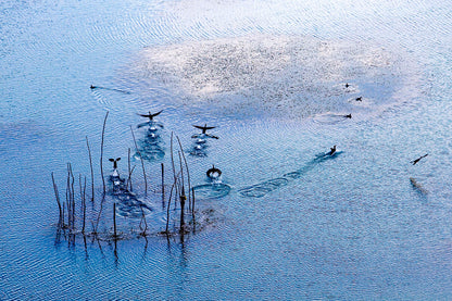 Spain's Plain